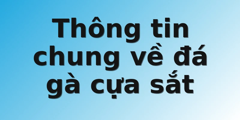 Thông tin chung về đá gà cựa sắt