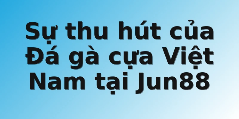 Sự thu hút của Đá gà cựa Việt Nam tại Jun88