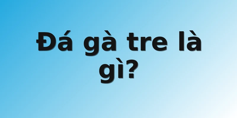 Đá gà tre là gì? 