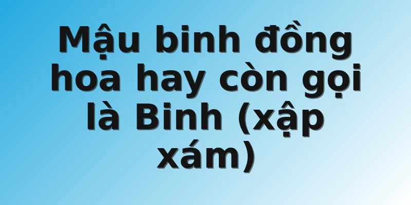 Mậu binh đồng hoa hay còn gọi là Binh (xập xám)