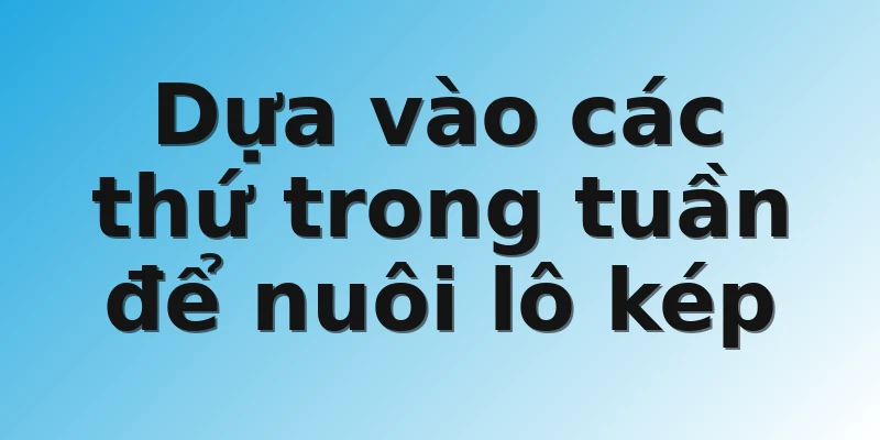 Dựa vào các thứ trong tuần để nuôi lô kép