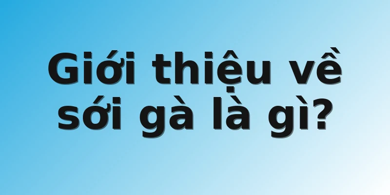 Giới thiệu về sới gà là gì?