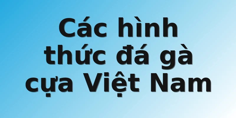 Các hình thức đá gà cựa Việt Nam