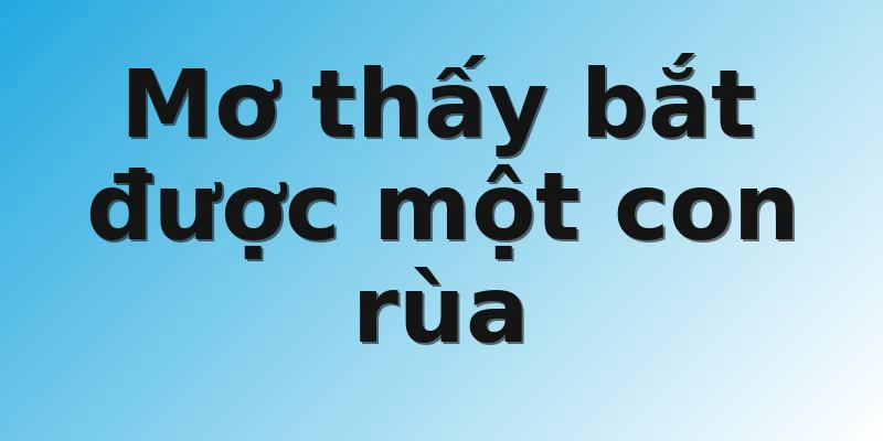 Mơ thấy bắt được một con rùa