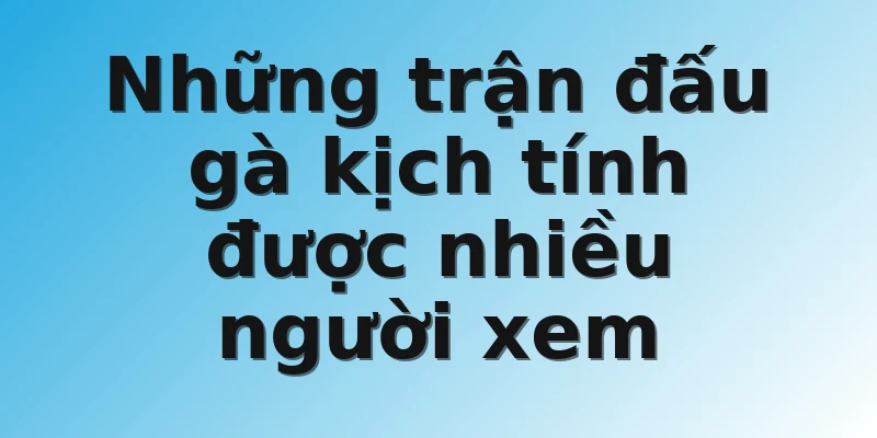 Những trận đấu gà kịch tính được nhiều người xem