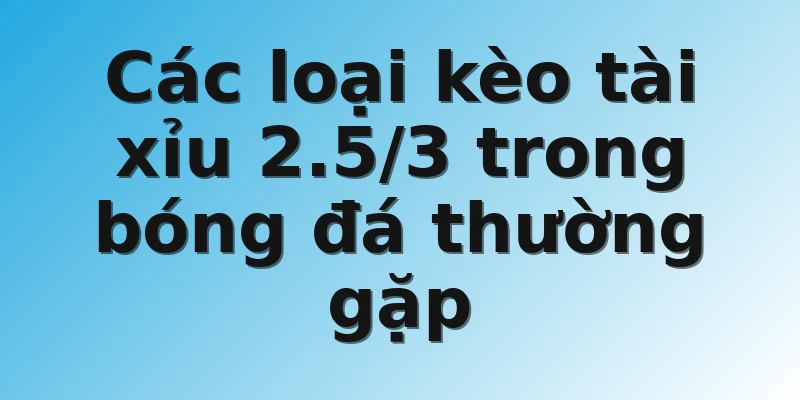 Các loại kèo tài xỉu 2.5/3 trong bóng đá thường gặp