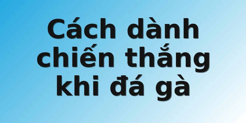Cách dành chiến thắng khi đá gà