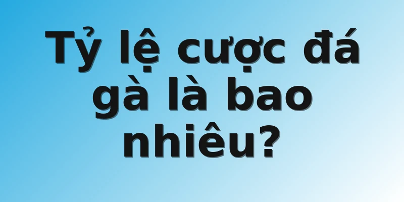 Tỷ lệ cược đá gà là bao nhiêu?