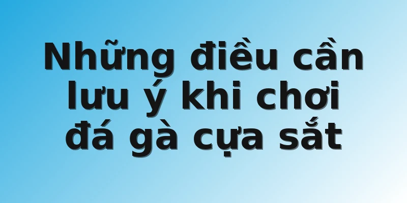 Những điều cần lưu ý khi chơi đá gà cựa sắt