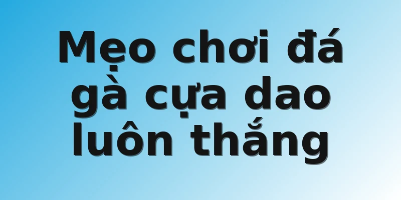 Mẹo chơi đá gà cựa dao luôn thắng 