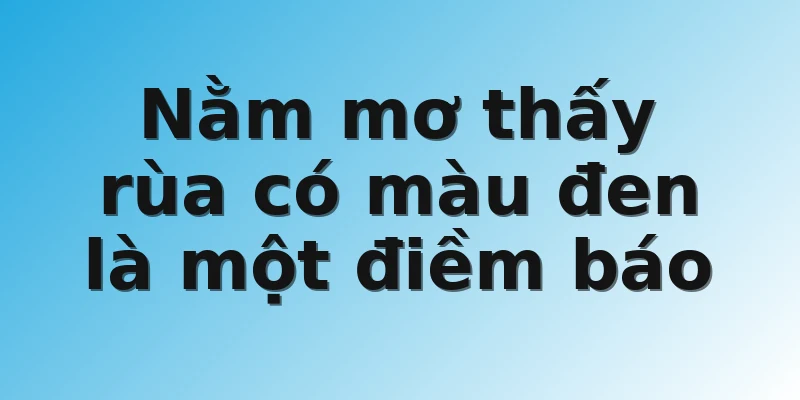 Nằm mơ thấy rùa có màu đen là một điềm báo