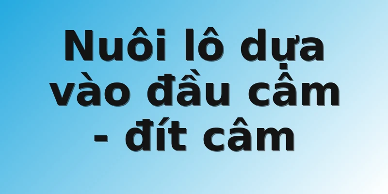 Nuôi lô dựa vào đầu câm - đít câm