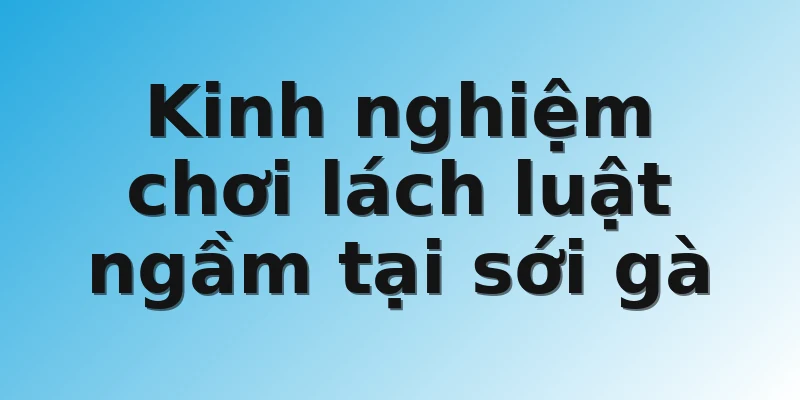 Kinh nghiệm chơi lách luật ngầm tại sới gà