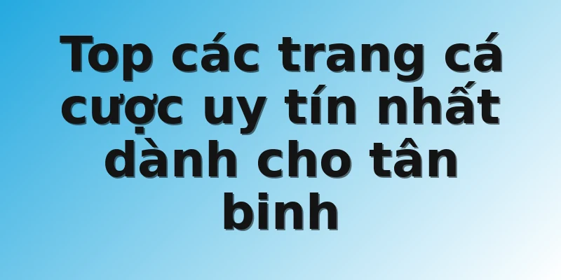 Top các trang cá cược uy tín nhất dành cho tân binh