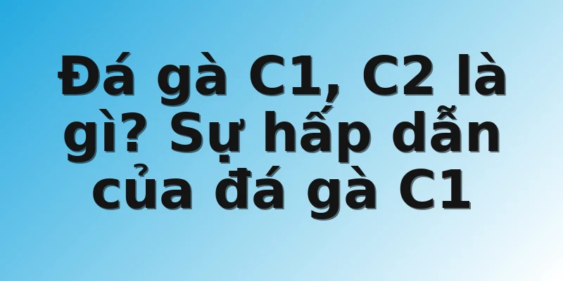 Đá gà C1, C2 là gì? Sự hấp dẫn của đá gà C1