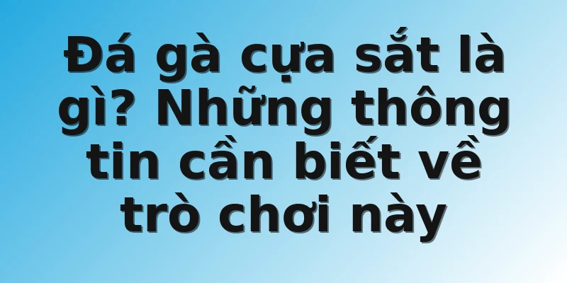 Đá gà cựa sắt là gì? Những thông tin cần biết về trò chơi này