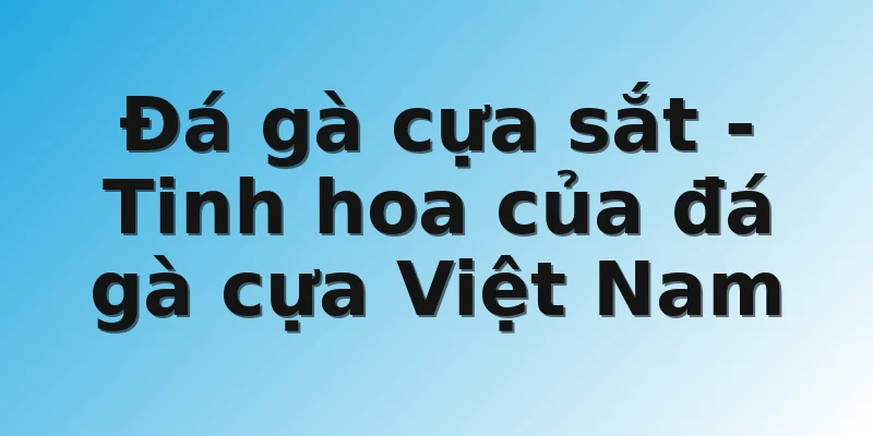 Đá gà cựa sắt - Tinh hoa của đá gà cựa Việt Nam