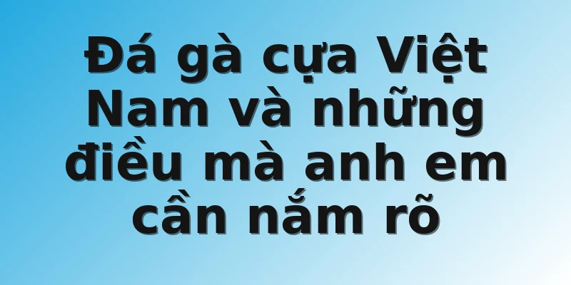 Đá gà cựa Việt Nam và những điều mà anh em cần nắm rõ