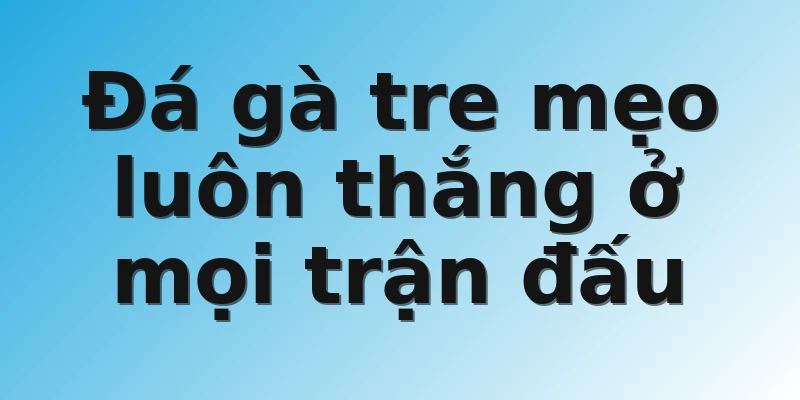 Đá gà tre mẹo luôn thắng ở mọi trận đấu