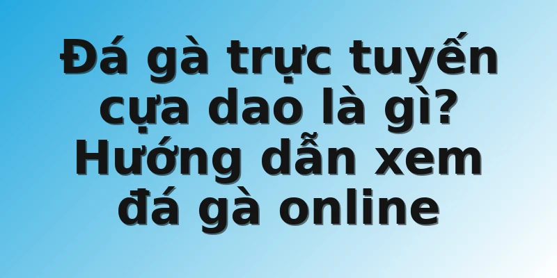 Đá gà trực tuyến cựa dao là gì? Hướng dẫn xem đá gà online