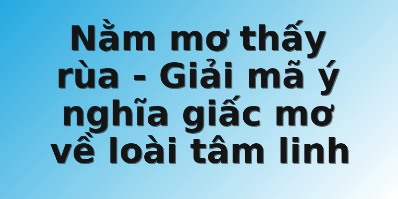 Nằm mơ thấy rùa - Giải mã ý nghĩa giấc mơ về loài tâm linh