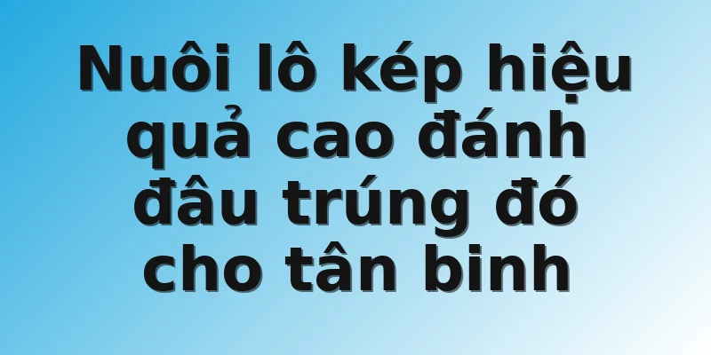 Nuôi lô kép hiệu quả cao đánh đâu trúng đó cho tân binh