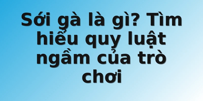 Sới gà là gì? Tìm hiểu quy luật ngầm của trò chơi