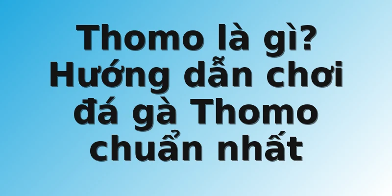 Thomo là gì? Hướng dẫn chơi đá gà Thomo chuẩn nhất